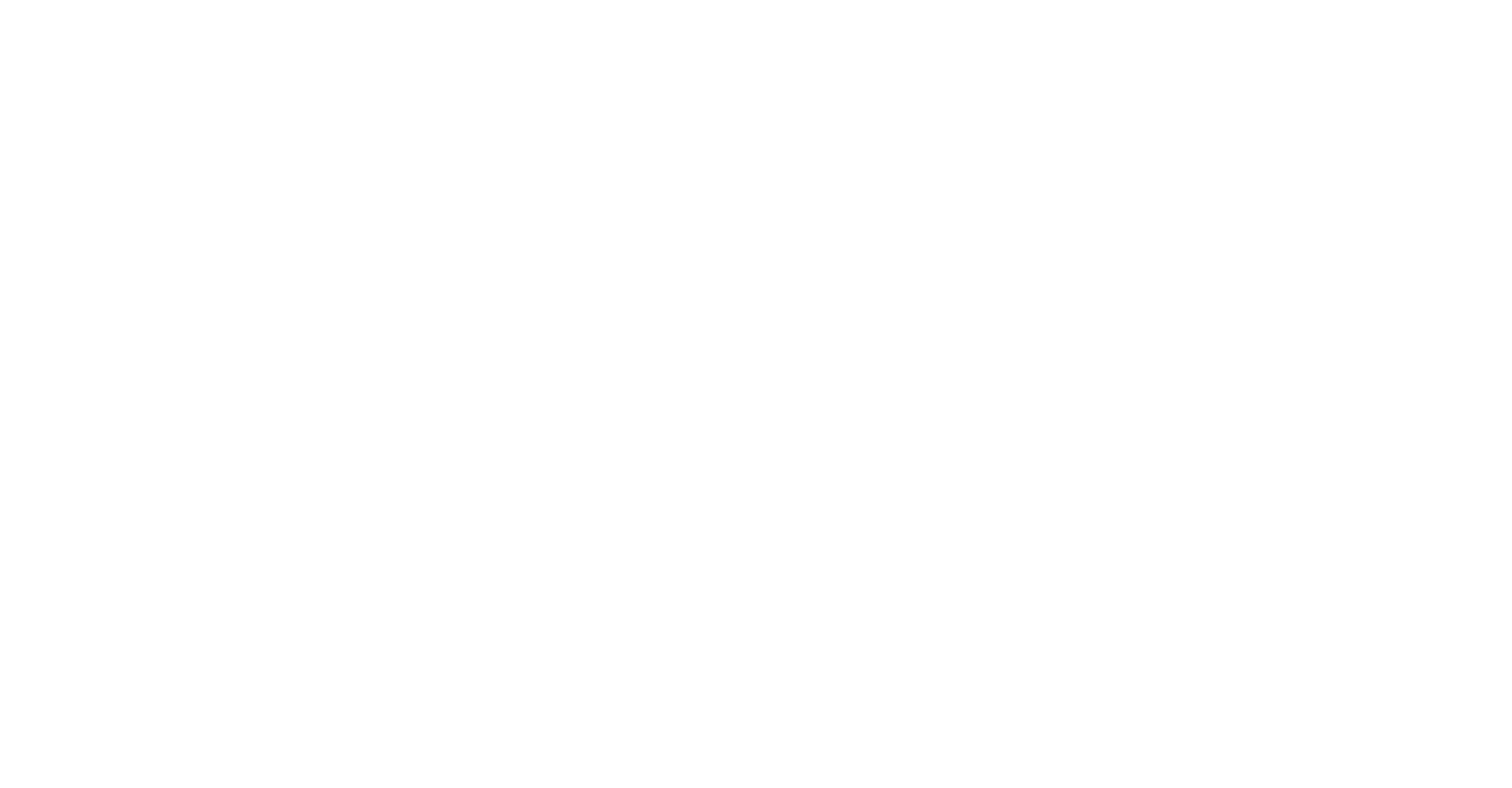 Viraly Logo